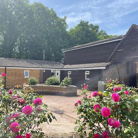 The Rose Cottage Wisborough Green Екстериор снимка